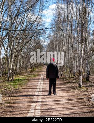 Berlino, Mitte, COVID-19 epidemia. Solitario uomo anziano cammina su sentiero vuoto in legno di betulla nel parco Nordbahnhof durante la pandemia COVID-19 Foto Stock