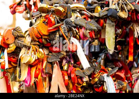Molte serrature colorate di nozze con i nomi degli sposi novelli e desideri in russo su un albero di nozze. Simbolo di amore, matrimonio e felicità. Foto Stock