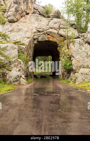 Iron Creek Tunnel - un tunnel stretto su una strada nei boschi in una giornata di pioggia. Foto Stock