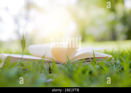 libro aperto come forma di cuore su erba in parco, conoscenza e concetto di istruzione Foto Stock