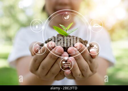 Pianta albero e innovazione di salvare mondo concetto, ragazza che tiene piccole seghe crescere dal suolo su palma con risparmio di migliore qualità del nostro en naturale Foto Stock