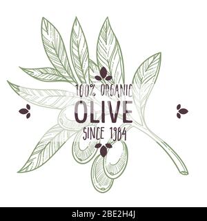 Emblema della pianta di oliva, disegno dell'etichetta dell'alimento degli ingredienti organici Illustrazione Vettoriale