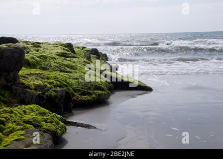 Moss coperto rocce e l'Oceano Atlantico a Pawleys Island South Carolina. Foto Stock