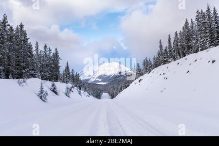 Neve coperta e alberata Maligne Lake Road che porta a montagne innevate sullo sfondo, Jasper National Park, Alberta, Canada Foto Stock