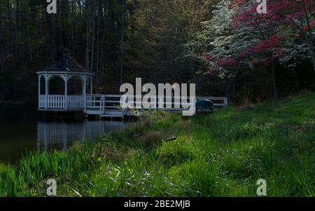 Un tranquillo stagno in una tranquilla mattina di primavera con alberi di dogwood e alberi di germoglio rosso in piena fioritura con una canoa, un molo e un gazebo nella montagna Blue Ridge Foto Stock