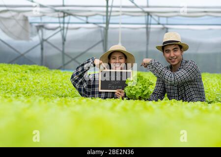 Cibo sano fattoria di verdure biologiche, felice amore coppia proprietario cassa pieno di verdure idroponiche e mostra fresco dal testo della fattoria a bordo i Foto Stock