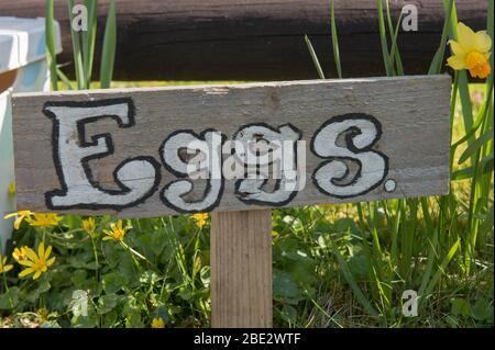 Hand made Sign for Eggs in the Village of Marwood in Rural Devon, England, UK Foto Stock