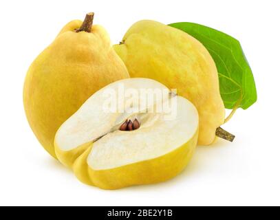 Quince isolate. Due frutti di cotogne freschi e semi mezzo-iesimo isolati su sfondo bianco Foto Stock