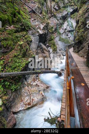 Montagna autunno Wimbachklamm gola e Wimbach ruscello con percorso in legno, Berchtesgaden parco nazionale, Alpi, Baviera, Germania. Pittoresca traversa Foto Stock
