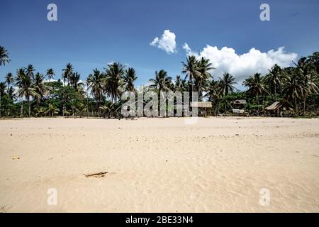 Duli spiaggia capanne locali e palme Foto Stock