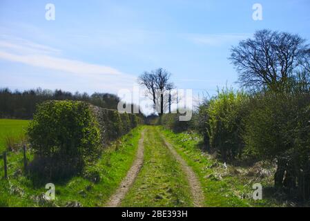 Percorso agricolo tra campi nel Berwickshire, Scottish Borders, Regno Unito Foto Stock