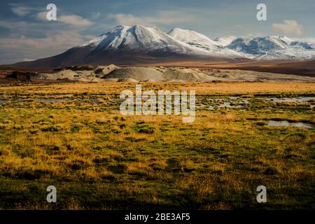 Il vulcano Putana sullo sfondo, in primo piano il bofedal dello stesso nome Foto Stock