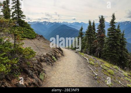 Vista panoramica delle Montagne Olimpiche dal Sentiero escursionistico sulla Hurricane Ridge Foto Stock