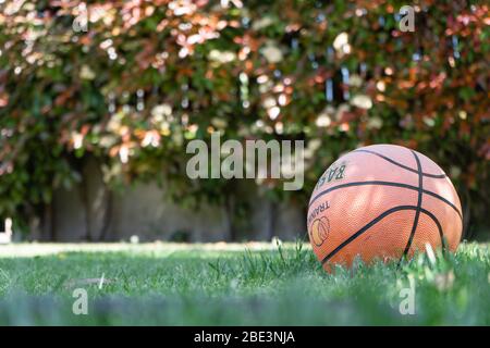 iconica immagine di basket arancione in pelle Foto Stock