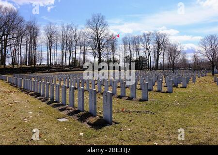 File di pietre preziose nella sezione delle tombe di guerra del Commonwealth (CWGC) del cimitero di Beechwood, all'inizio della primavera, Ottawa, Ontario, Canada. Foto Stock