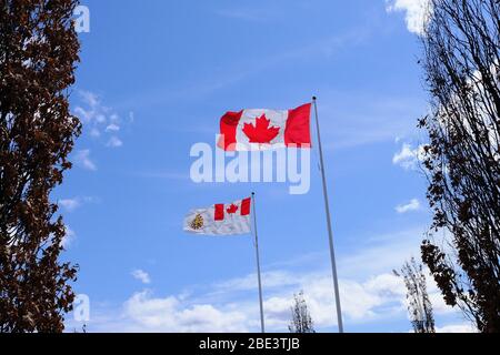 Due bandiere che volano contro un cielo blu. Beechwood Military Cemetery, Ottawa, Ontario, Canada. Bandiera delle forze canadesi e bandiera del Canada. Foto Stock