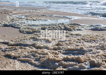 schiuma sulla riva del mare dopo la tempesta Foto Stock