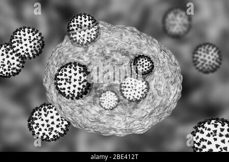 Covid-19 coronavirus infettando le cellule umane, illustrazione Foto Stock