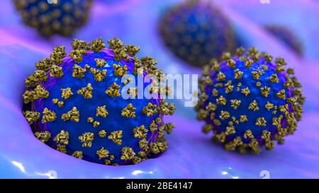 Covid-19 coronavirus infettando le cellule umane, illustrazione Foto Stock