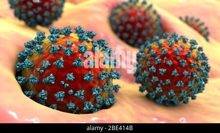 Covid-19 coronavirus infettando le cellule umane, illustrazione Foto Stock