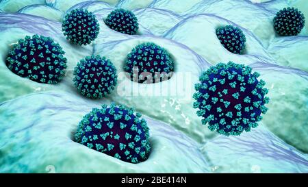 Covid-19 coronavirus infettando le cellule umane, illustrazione Foto Stock