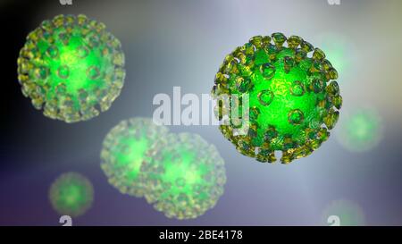 Particelle di coronavirus Covid-19, illustrazione. Il coronavirus SARS-cov-2 (precedentemente 2019-nCoV) è stato identificato per la prima volta a Wuhan, in Cina, nel dicembre 2019. È un virus dell'RNA (acido ribonucleico) con involucro. SARS-cov-2 causa l'infezione respiratoria Covid-19, che può portare a polmonite fatale. Foto Stock