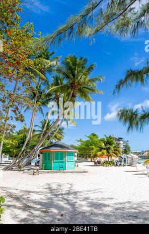 Vista di palme orlate Worthing Beach, Barbados, Indie Occidentali, Caraibi, America Centrale Foto Stock