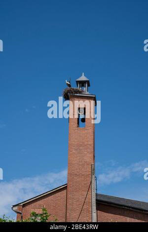 Spagna, Leon, Compostilla, Camino de Santiago, la via di San Giacomo. Chiesa campanile con nido di cicogna uccello sul tetto. Foto Stock