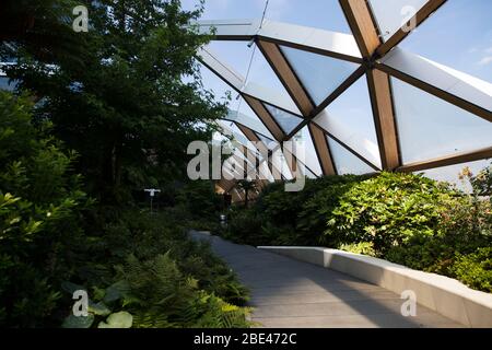 All'interno del Crossrail Place Roof Garden a Canary Wharf a Londra, Inghilterra, Regno Unito. Foto Stock