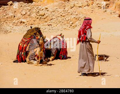 Jordan, beduino con il suo cammello a Petra Foto Stock