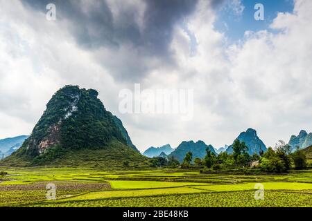 Campi e rocce calcaree; Cao Bang, Provincia di Cao Bang, Vietnam Foto Stock