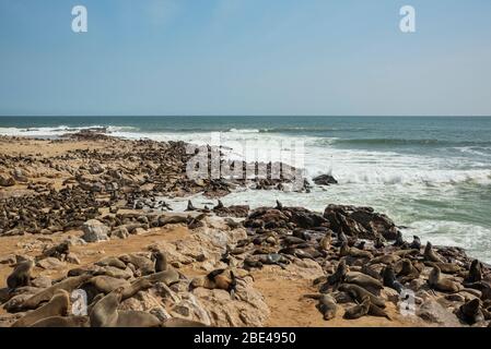 Foche da pelliccia alla colonia di foche di Cape Cross, Skeleton Coast; Namibia Foto Stock