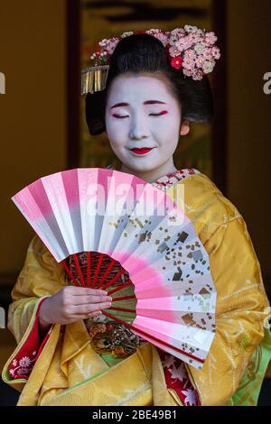 Ritratti di un Maiko a Kyoto, Giappone Foto Stock