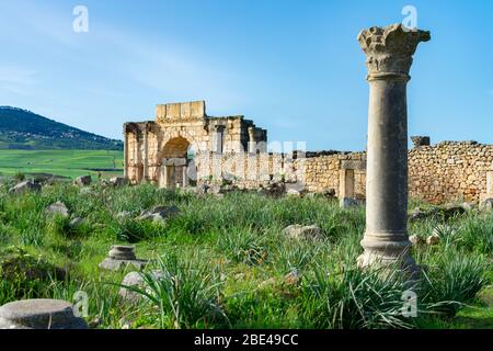 Una colonna unica e l'Arco di Caracalla alle rovine romane di Volubilis in Marocco Foto Stock