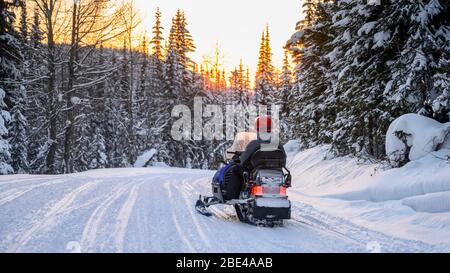 La motoslitta scende lungo un sentiero attraverso una foresta in inverno al tramonto; Sun Peaks, British Columbia, Canada Foto Stock