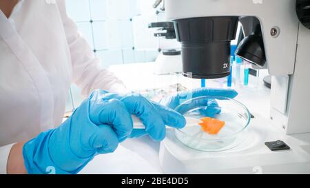 Controllo della qualità delle carni e dei pesci nel laboratorio di qualità alimentare Foto Stock