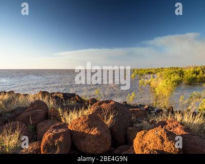 Mangrovie su King Sound, Derby, il Kimberley, Australia Occidentale Foto Stock