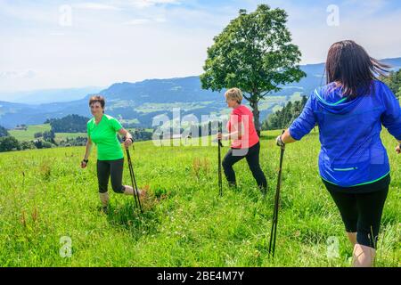 Fitness in natura verde con esercizi di nordic walking Foto Stock