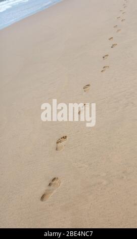 Durban, Sudafrica fronte oceano Foto Stock