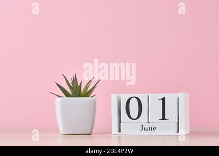 Calendario in blocco di legno con data 1 giugno e succulente pianta in vaso su sfondo rosa Foto Stock