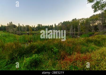 Vista al tramonto del laghetto di MacLaren, in Fundy National Park, New Brunswick, Canada Foto Stock