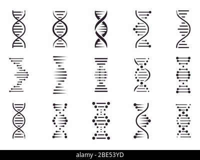 Icona DNA spirale. Struttura a spirale a elica di DNA, concetto di cromosoma di scienza medica, biologia simboli genetici insieme di icone vettoriali isolate Illustrazione Vettoriale