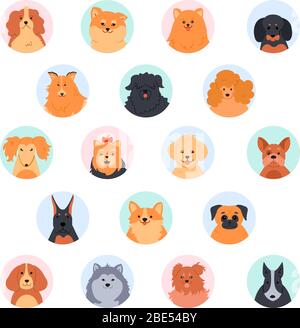 PET facce carine. Carino testa del cane. Poodle, divertente terrier yorkshire, Pomeranian spitz e labrador Retriever. I cani puri hanno muso il set di illustrazione vettoriale Illustrazione Vettoriale