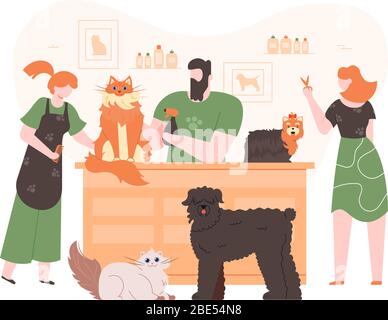 Animali domestici in salone di cura. Cani e gatti domestici in salone di cura del cappotto, persone grooming, lavaggio e taglio animali pelo colorato illustrazione vettoriale. Cane Illustrazione Vettoriale