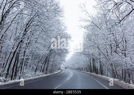 Vista della strada nella foresta invernale. Nyiregyhaza, Ungheria Foto Stock