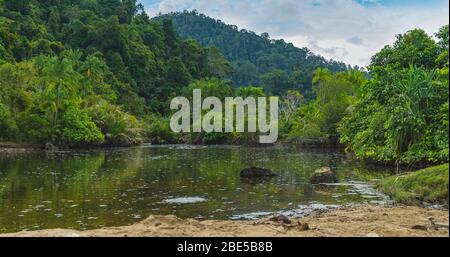 Wild River scena nella giungla di Sumatran vicino all'equatore molti cespugli alberi e piante ambiente naturale Foto Stock