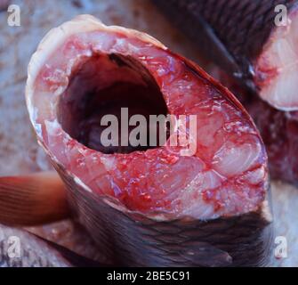 Una fetta di pesce crudo o bistecca in un mercato indiano del pesce in India del Bengala occidentale. Foto Stock