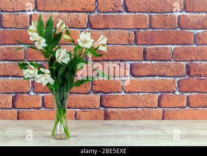 Alstroemeria bianca, lilys peruviani in vaso di vetro Foto Stock