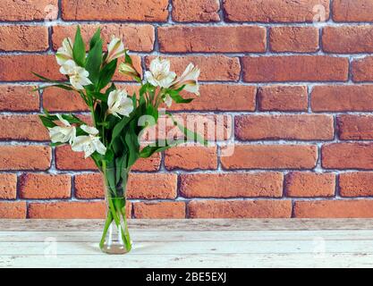 Alstroemeria bianca, lilys peruviani in vaso di vetro Foto Stock