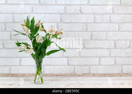 Alstroemeria bianca, lilys peruviani in vaso di vetro Foto Stock